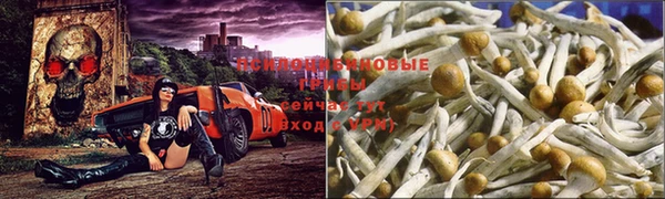 spice Балабаново