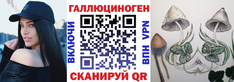 мега зеркало  Строитель  Псилоцибиновые грибы Cubensis 